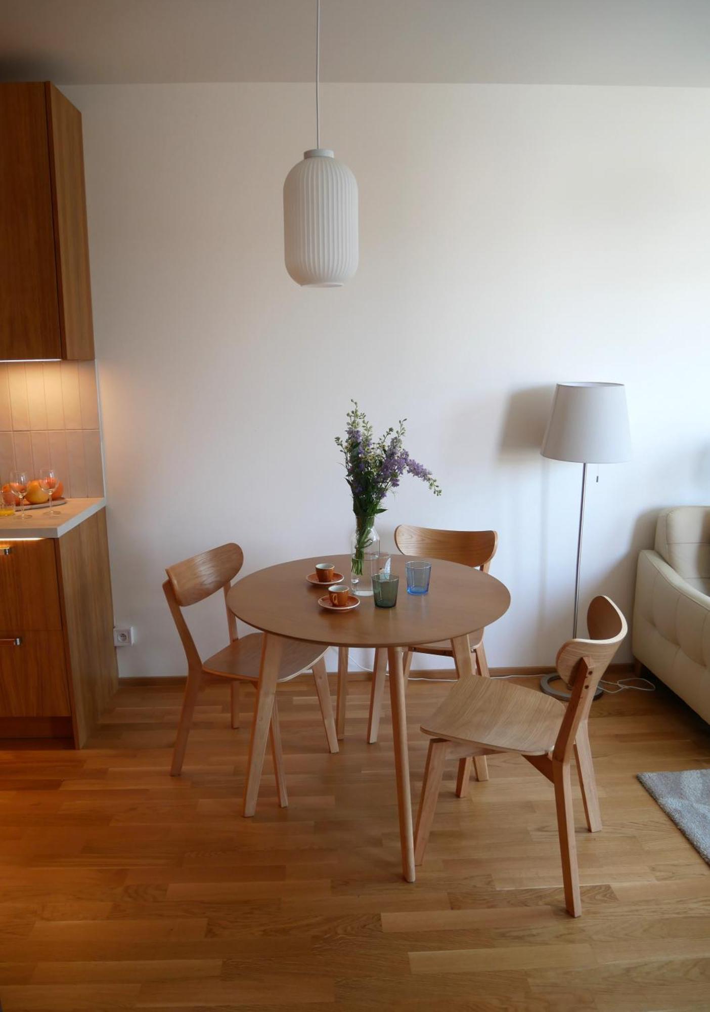 Charming With A Balcony In A Great Location Praag